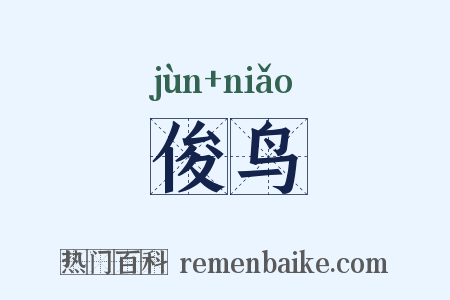 俊鸟是什么意思的图片